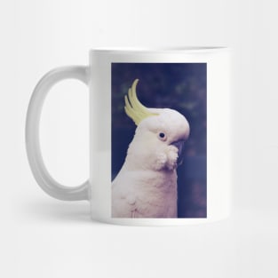 Sulfur Crested Cockatoo Mug